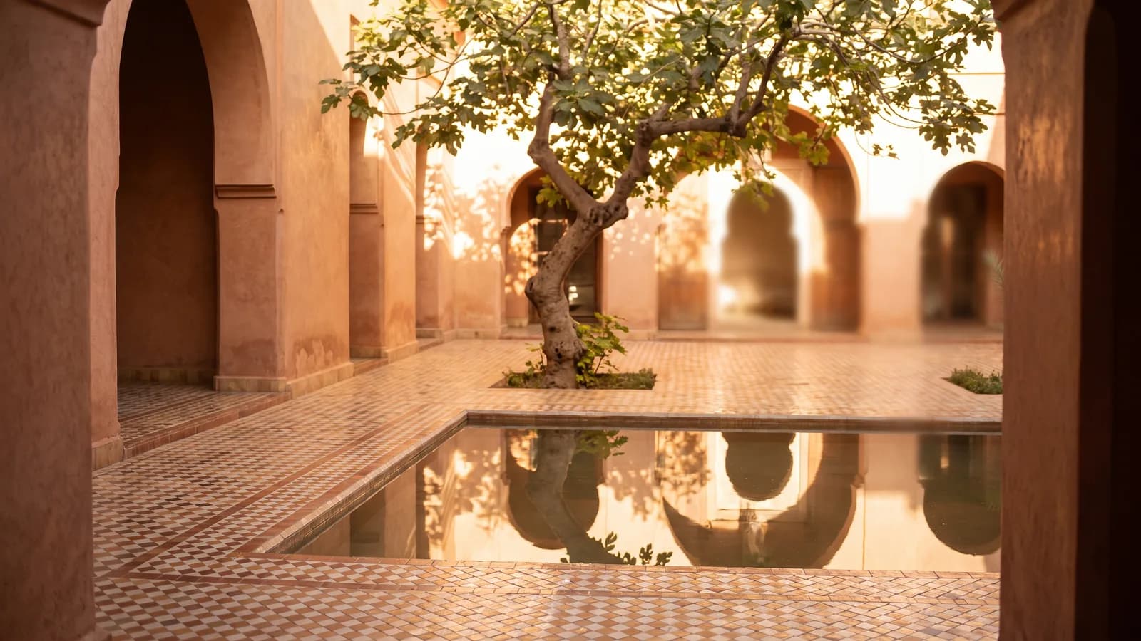 Patio de riad marrakchi : zellige, murs de terre cuite et figuier au bord d’un bassin